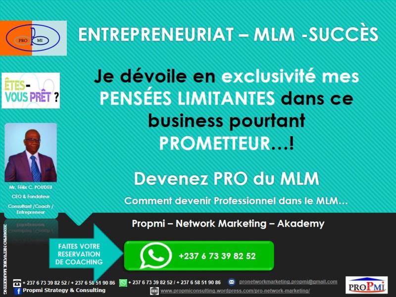 Entrepreneuriat – MLM: un business  PROMETTEUR…