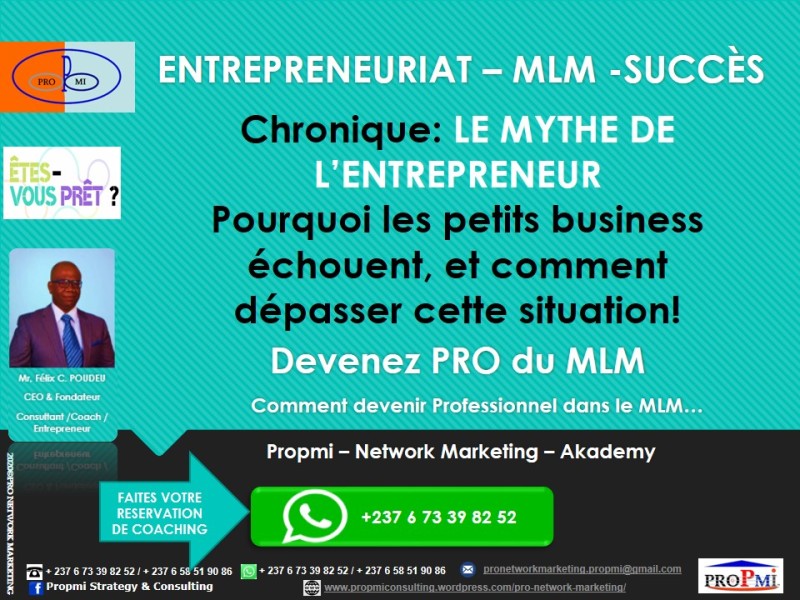 Entrepreneuriat – MLM: LE MYTHE DE L’ENTREPRENEUR: Pourquoi les petits business échouent…
