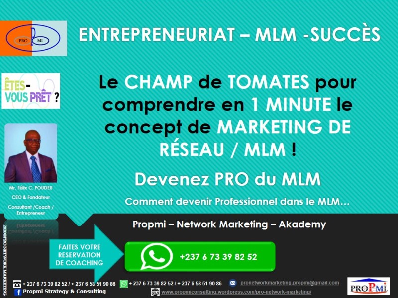 Entrepreneuriat – MLM: Le CHAMP de TOMATES pour comprendre en 1 MINUTE le concept du marketing du réseau